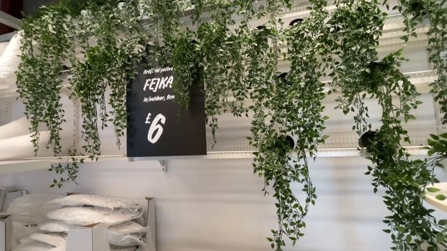 Plant shopping fail  what I eat in a day