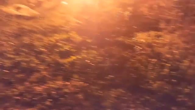 SHKILLA TEAM пожар на даче, бал сатаны. смотреть онлайн