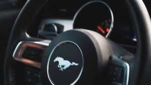 В закат. Паша Пэл 0.2