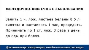 Лекарственное растение Белена черная. Народные рецепты травы Блекота