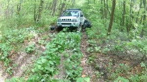 Выезд в Охотничьи угодья, постройка новой кормушки и Солонца для кабана и косули