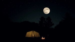 Для сна| костер| ветер| звуки природы| белый шум| асмр| заставка| фон|  волны| сверчки| глубокий со