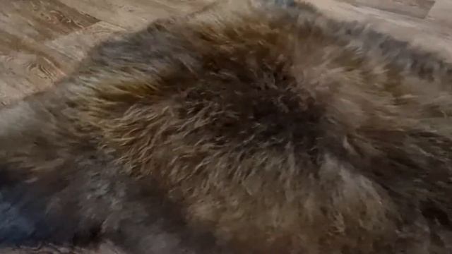 ОВЕЧЬЯ ШКУРА С ДЛИННЫМ И ПУШИСТЫМ МЕХОМ "БУРАЯ ЛИСИЦА" (КОД: 4566) смотреть онлайн