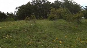 Крым озеро Кольчугино село