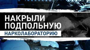 В Подмосковье ликвидировали подпольную нарколабораторию — видео