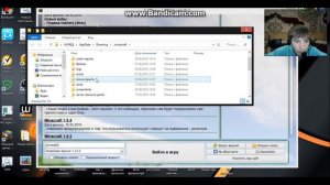 как поставить скин