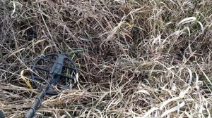 Коп металла вдоль поля. Нашли медь и огромный радиатор.