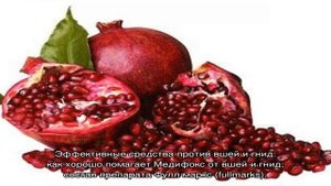 Чем и как можно быстро и эффективно вычесать вшей и гнид с волос человека