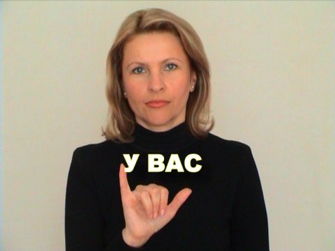 ЖЕСТОВЫЙ ЯЗЫК. ФРАЗЫ. У Вас