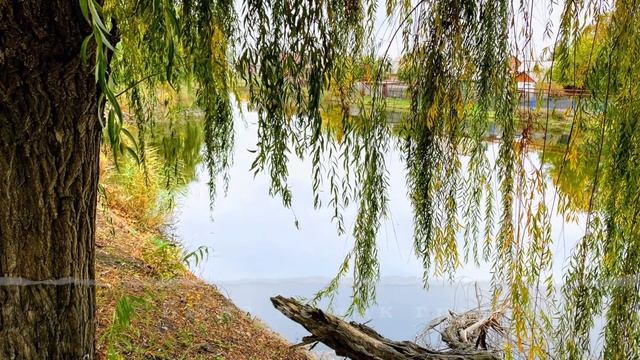 СТИХИ / ЛИРИКА БЛОК /Осенняя элегия- Блок Александр/ смотреть онлайн