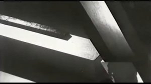 Четыре таракана и сверчок.