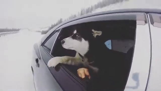 Рыбалка в Якутии смотреть онлайн