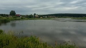 Речка Брусянка. Гилевский пруд