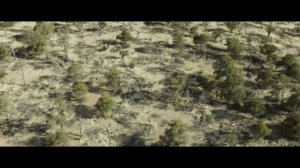 Дело Храбрых (2017)