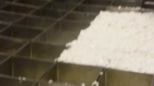 Сыр Таледжио, и сыр прадедушка Горгонзолы!