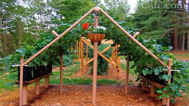 Даарийские проводники для сада, огорода, домашних растений смотреть онлайн