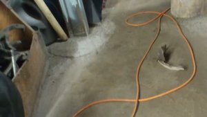 Кузовной ремонт Ваз 2106 Часть 1