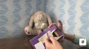 РАСПАКОВКА И ОБЗОР | тракененская кобыла и лунная единорожка Лошади Шляйх/schleich