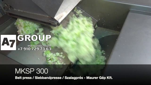 Пресс для прямого отжима 300 кг/ч