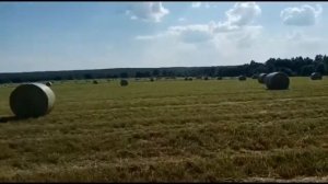 Заготовка сена: Прессование сена в рулоны