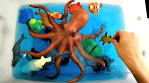 Sea Creatures For Kids - Sea Animals Names and Words in English For Kids