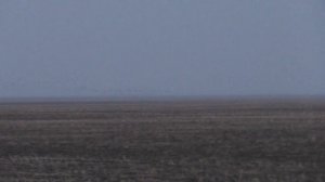Охота на гуся в Омской области.Весна 2021