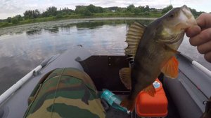 Рыбалка спиннингом на подмосковной р.Вобля.последние деньки отпуска