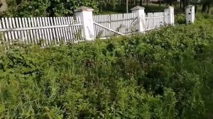 242. #Сельские будни #В теплице у мужа #Для тех, кто вдали # Пироги и пирожки #