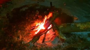 27.?ВЫЖИВАНИЕ в лесу ЗИМОЙ В ДИКОЙ ПРИРОДЕ БЕЗ НИЧЕГО _ ЛЕСНОЙ ЧИФИРЬ _ СУП ИЗ КОРНЕЙ _ ЗАКАЛИВАНИЕ