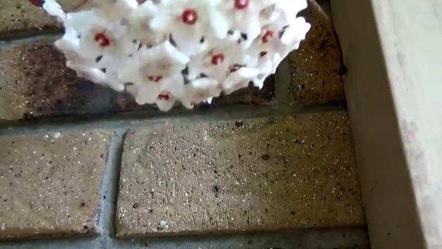 Мои Хойи В Октябре. Часть 2 смотреть онлайн