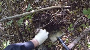 Первый коп с x-terra 505! Нашел монеты!!!