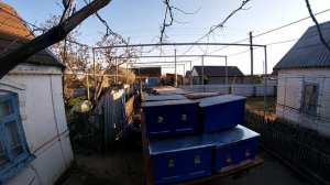 Когда вывозить пчел на рапс. Лафет для перевозки пчел в работе. Вывозим пчел на рапс 2021 года.