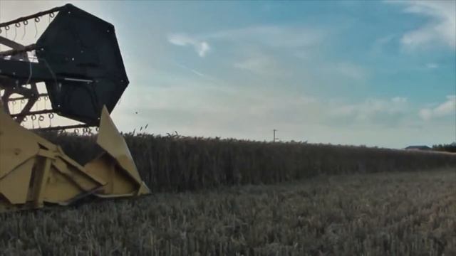 ЯГСХА видео