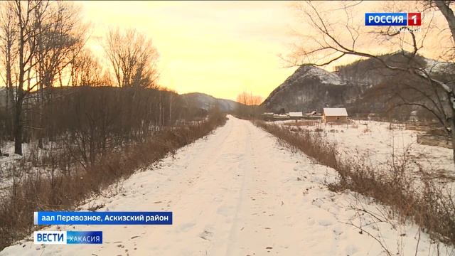 Дорога в школу каждый день через лес и в кромешной тьме смотреть онлайн