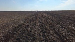 Посев ярового ячменя No till сеялкой сзс 2.1