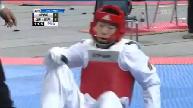 TAEKWONDO (KP&P) THE NEW EDITION KOREAN ELETRONIC PROTECTORS смотреть онлайн