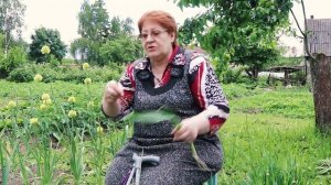 МНОГОЛЕТНИЙ ЛУК. Слизун, многоярусный лук, душистый, уксун (алтайская черемша)