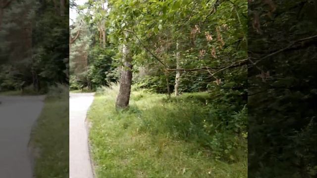 Серебряный бор, озеро Бездонное 5.08 2020 г.