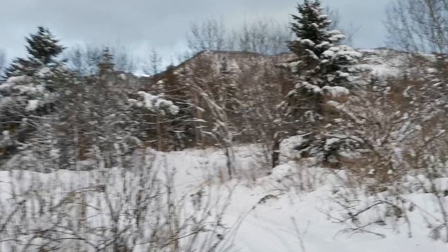 Взморье - Лукоморье