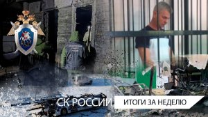 СК России: итоги недели 06.11.2020