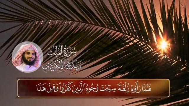 МУХАММАД аль курди смотреть онлайн