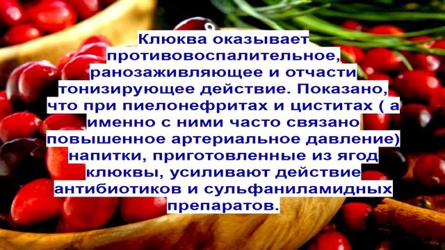 Клюква и повышенное артериальное давление смотреть онлайн