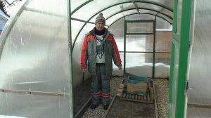 Засыпать снег в теплицу. Оставить теплицу открытой на зиму. Зачем и нужно ли?