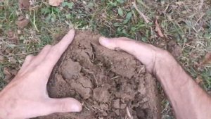 Коп с металлоискателем Garrett ace apex | Ну и Денёк выдался