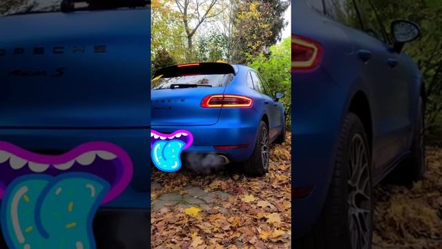 Porsche Macan S звук штатного выхлопа