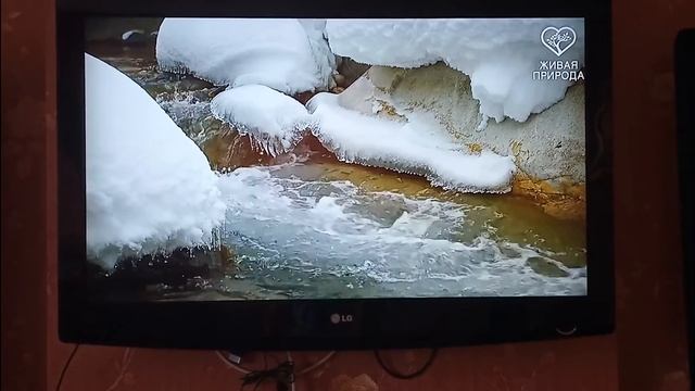 Устанавливаем RaspbianXP(WindowsXP) на Raspberry pi 4!