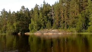 Бомбарда или тяжелый поплавок для дальнего заброса.