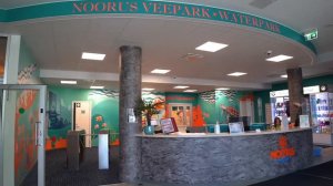 Рекламный ролик для Noorus Spa Hotel Estonia (Румтур)