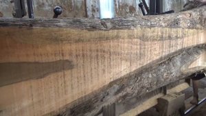 sawmill..proses dramatis penggergajian kayu jati besar. the biggest teak wood