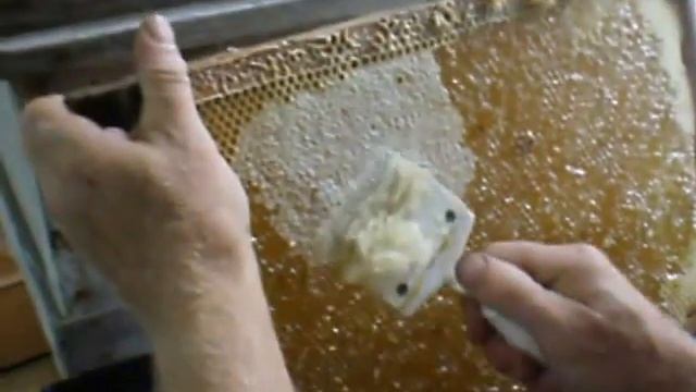 как пчёлы делают мёд смотреть онлайн